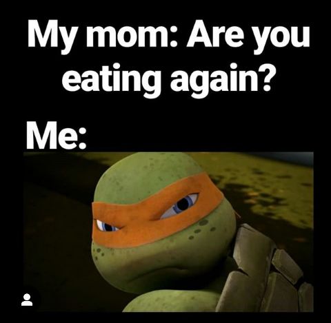 ninja turtle meme